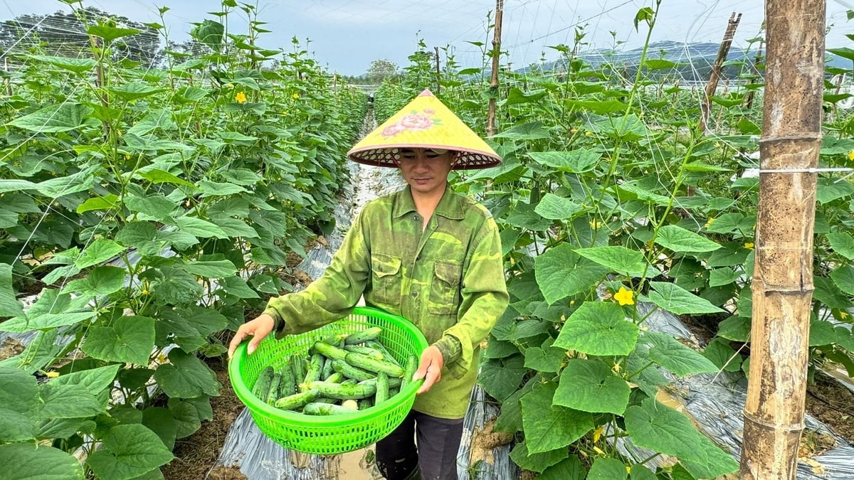 h2 151314 225 084058