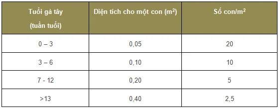 ky thuat chan nuoi ga tay huba thit 2