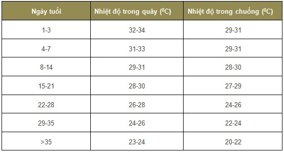 ky thuat chan nuoi ga tay huba thit