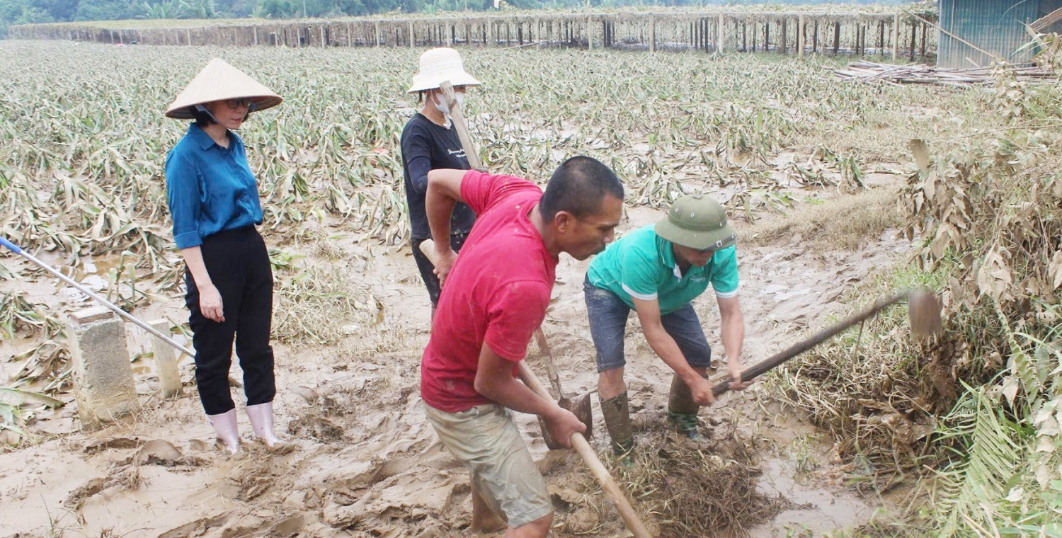 Biện pháp khắc phục rau hoa màu sau bão lũ